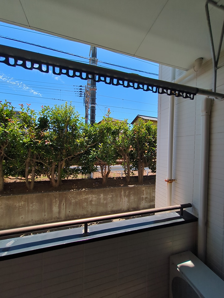 16/19 その他画像