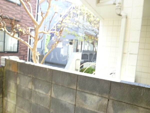 17/30 その他画像