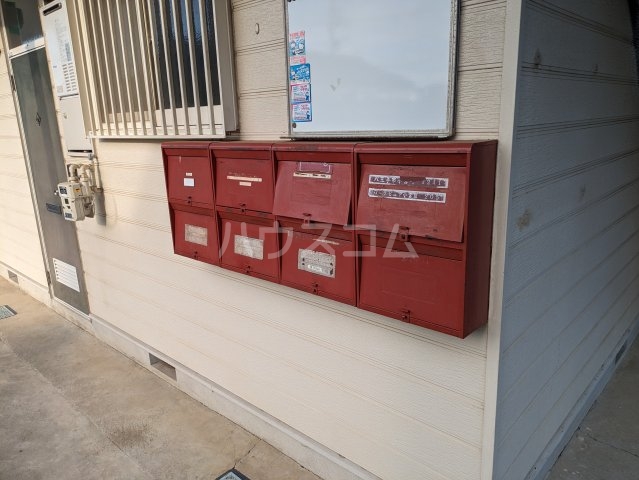 20/30 その他画像