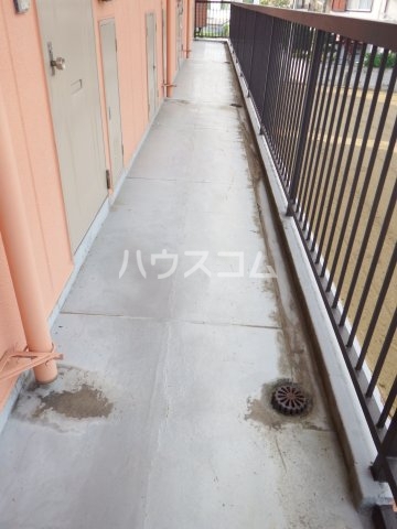 17/17 その他画像