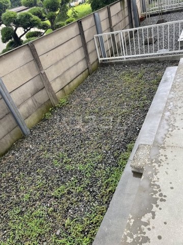 17/29 その他画像