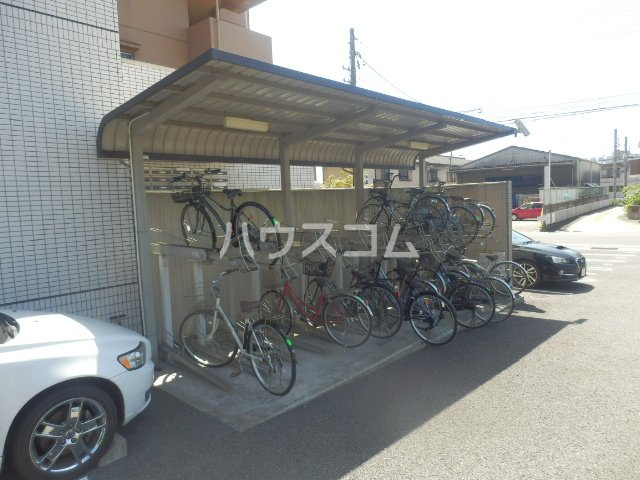 その他共有
