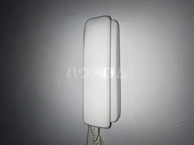 6/14 その他画像