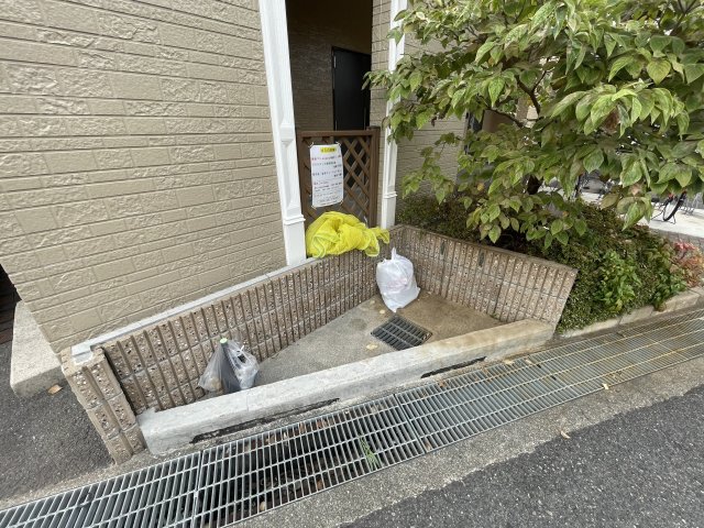 15/24 その他画像