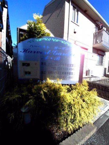 11/20 その他画像