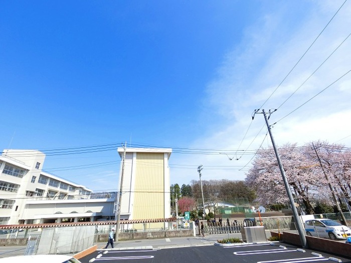 17/29 その他画像