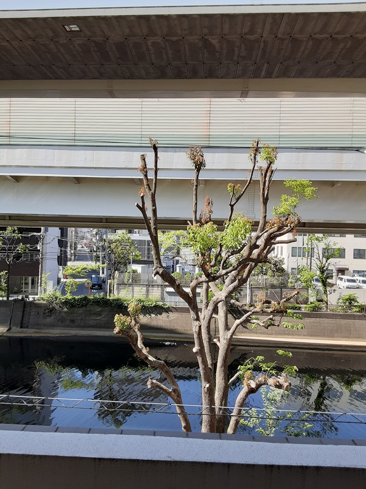 15/23 その他画像