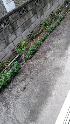 17/26 その他画像