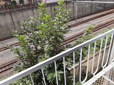 13/26 バルコニー