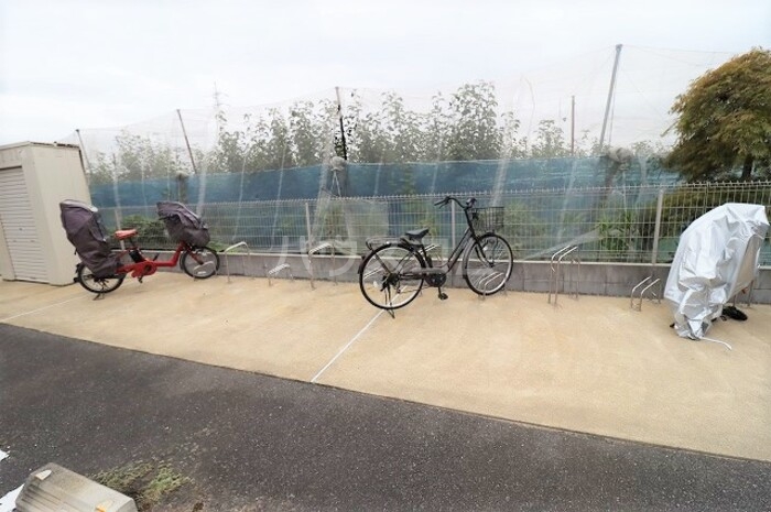 11/15 その他画像