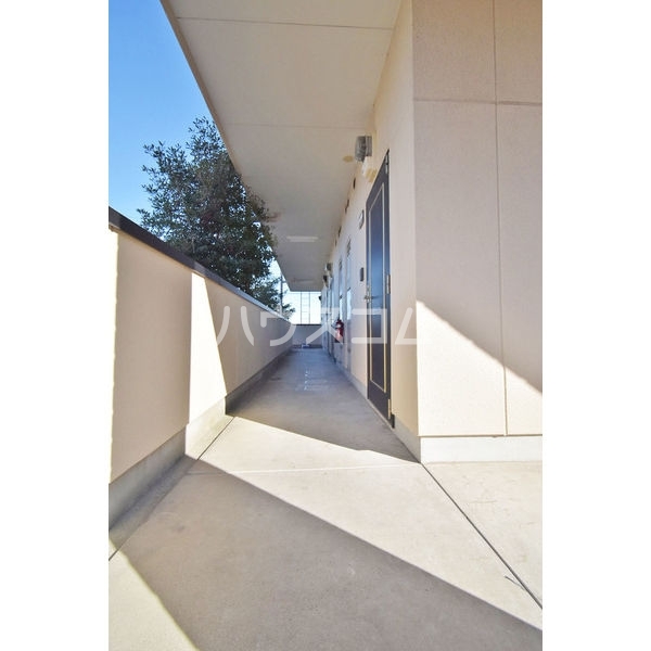 16/29 その他画像