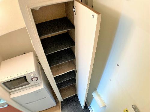 8/19 その他画像