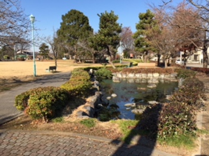 17/29 その他画像