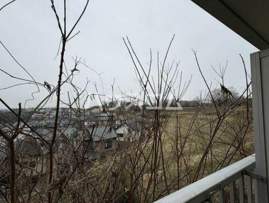 11/21 その他画像