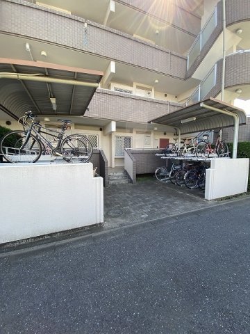 20/30 その他画像