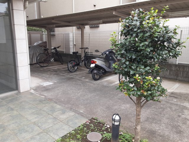 21/30 その他画像
