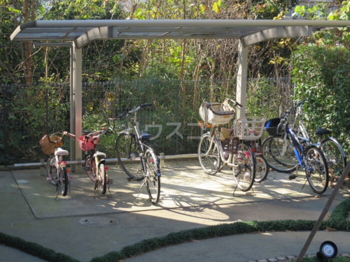 14/17 その他画像