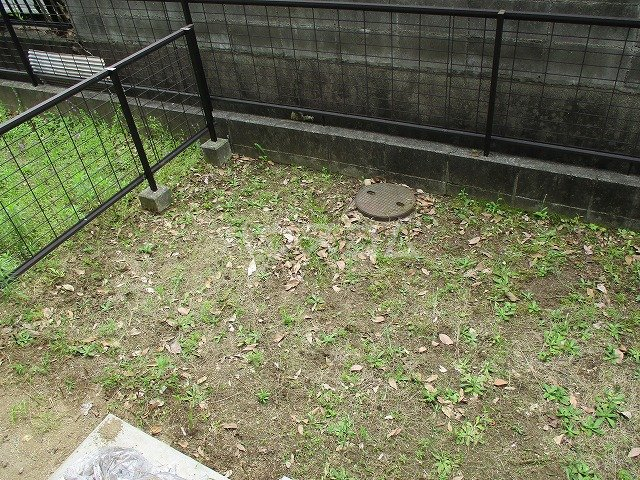 16/30 その他画像