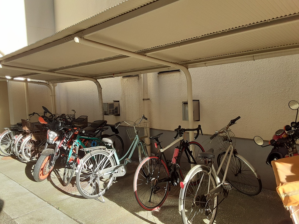 20/30 その他画像