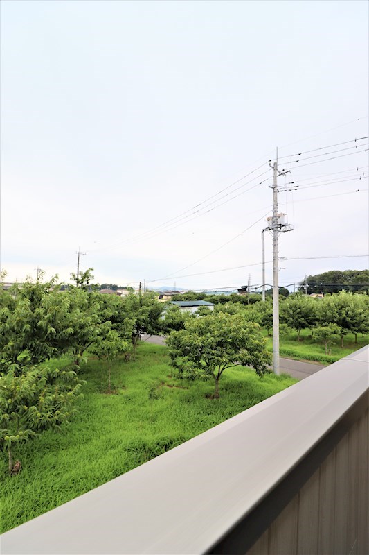 17/28 その他画像