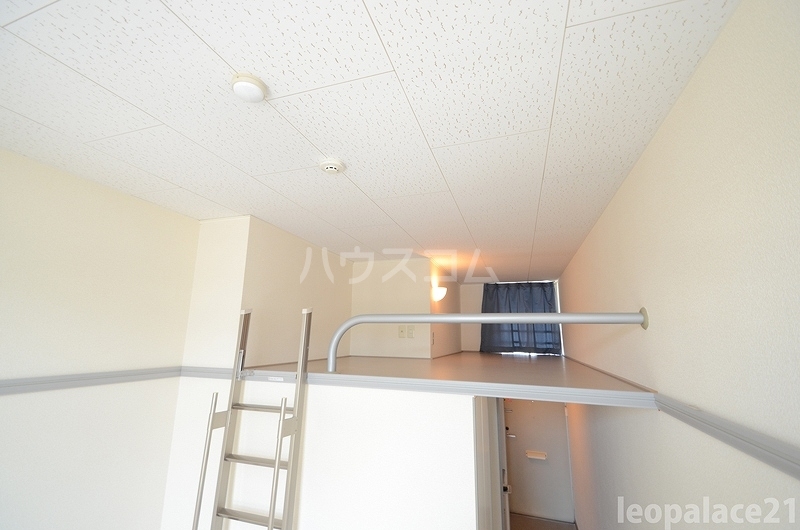 15/25 その他画像