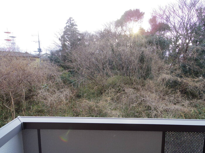 15/20 その他画像