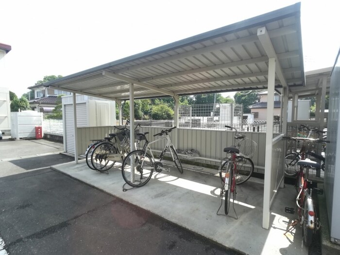 17/29 その他画像