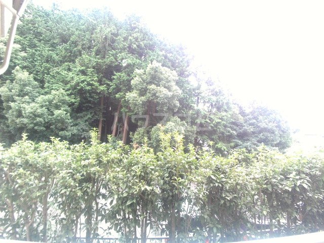 25/30 その他画像