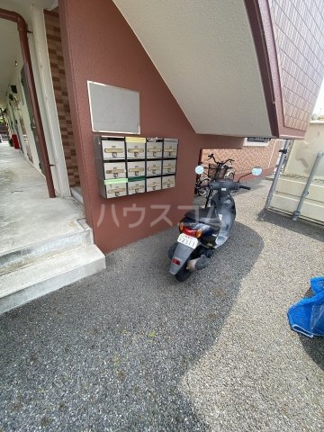 20/30 その他画像