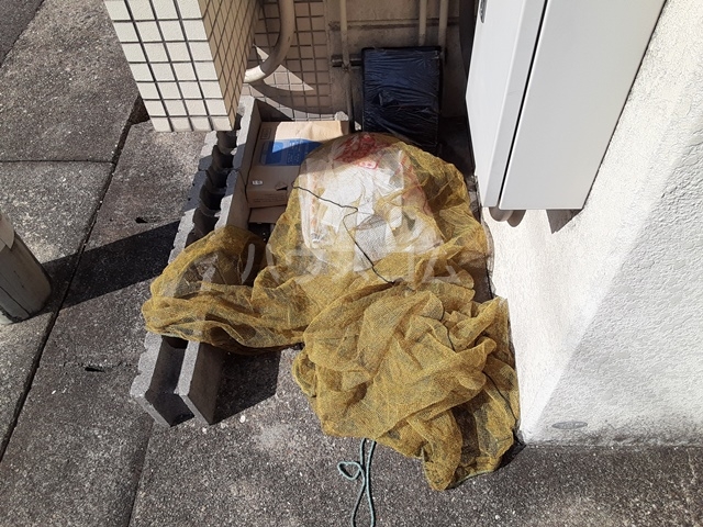 24/29 その他画像