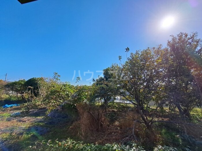 12/20 その他画像