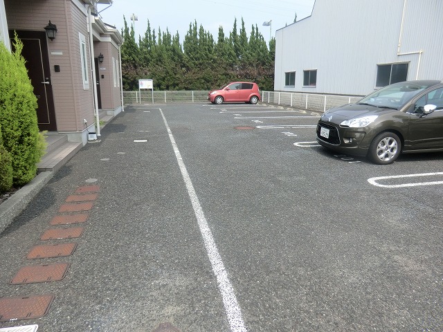 20/30 その他画像