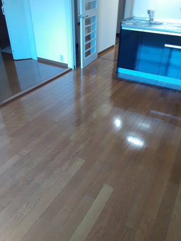 19/26 その他画像