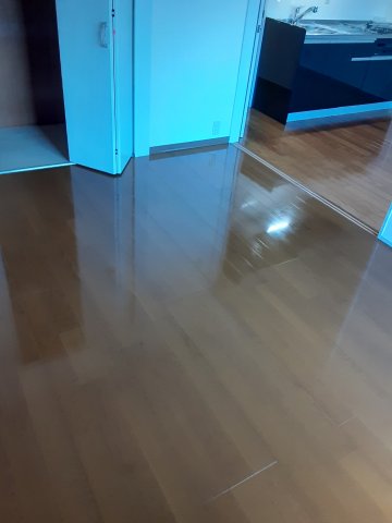 21/26 その他画像