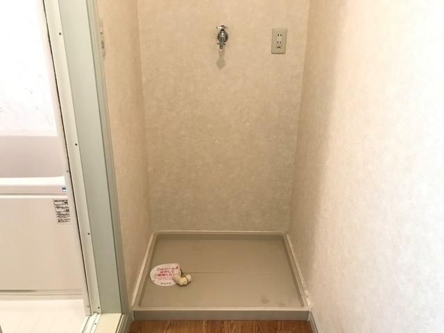 21/25 その他画像