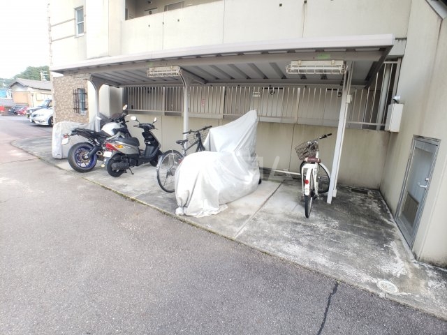 20/30 その他画像