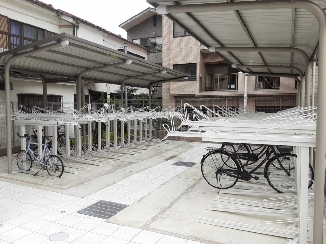 20/30 その他画像