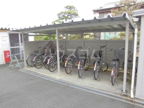 5/11 その他画像