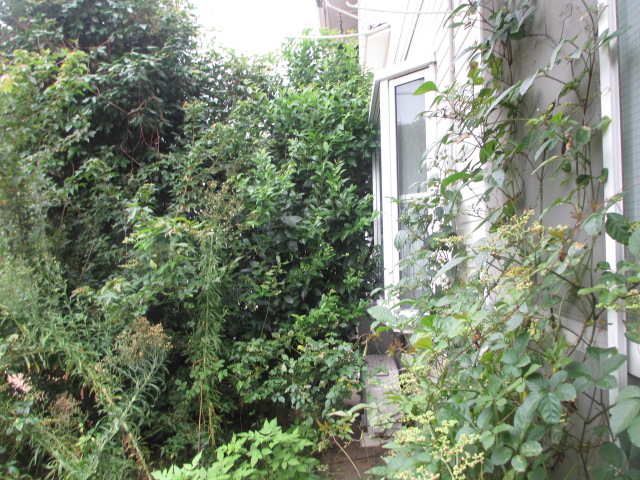 24/30 バルコニー