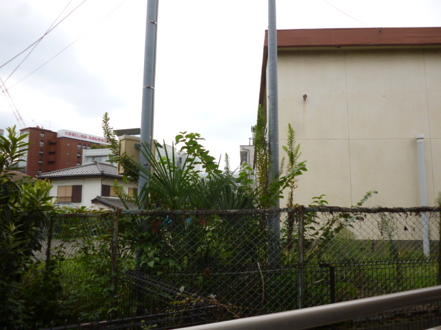 19/24 その他画像