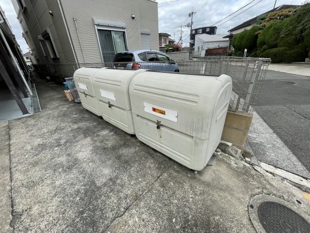 15/19 その他画像