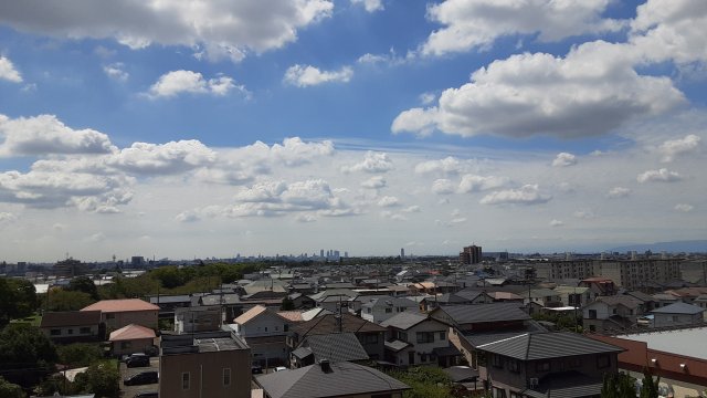 20/30 その他画像