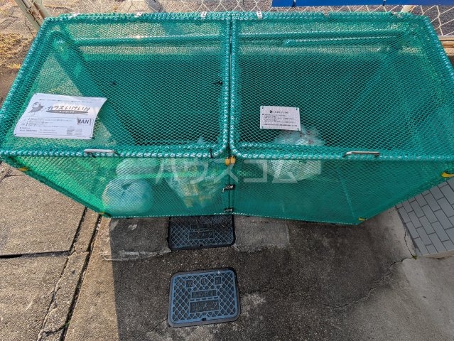 17/22 その他画像