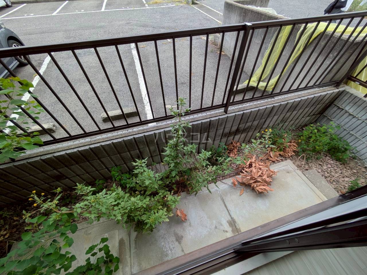 17/25 その他画像