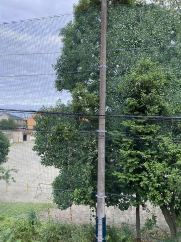 19/26 その他画像