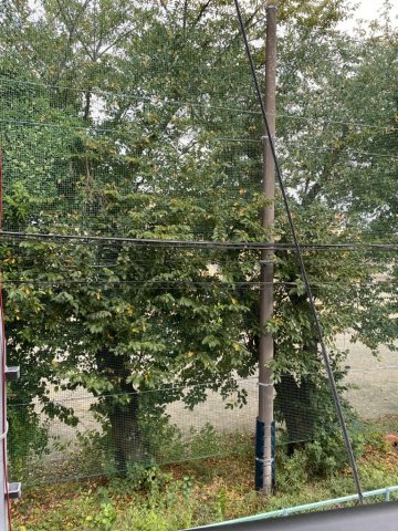 18/24 その他画像