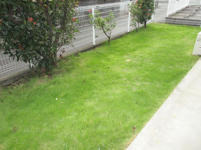 17/23 その他画像