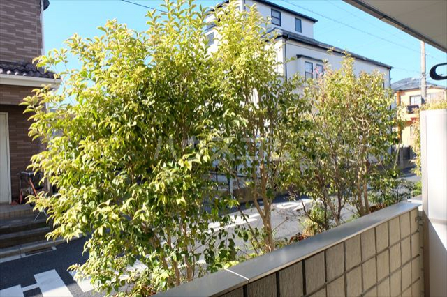 19/30 その他画像