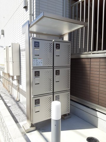 20/30 その他画像