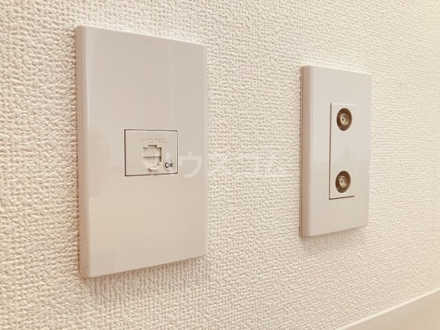 19/30 その他画像